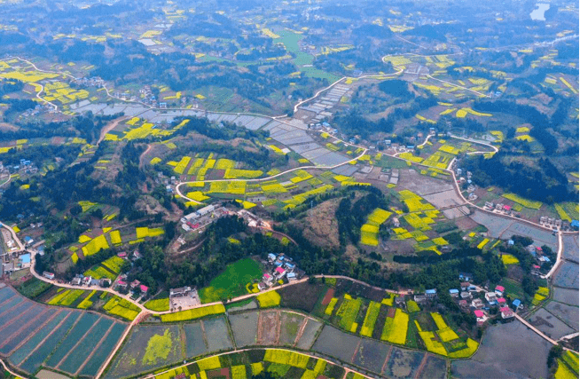 简阳市青龙镇最新消息,简阳市青龙镇最新消息全面解读