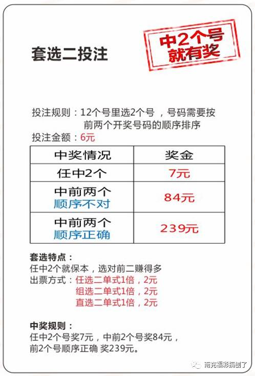 新澳门49码中奖规则,新澳门49码中奖规则详解，警惕背后的风险与犯罪问题