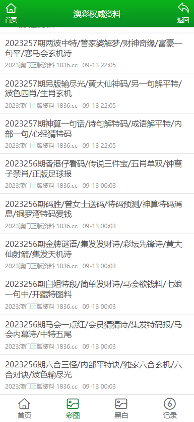 2024澳门正版全年正版资料,澳门正版全年资料，探索与解读