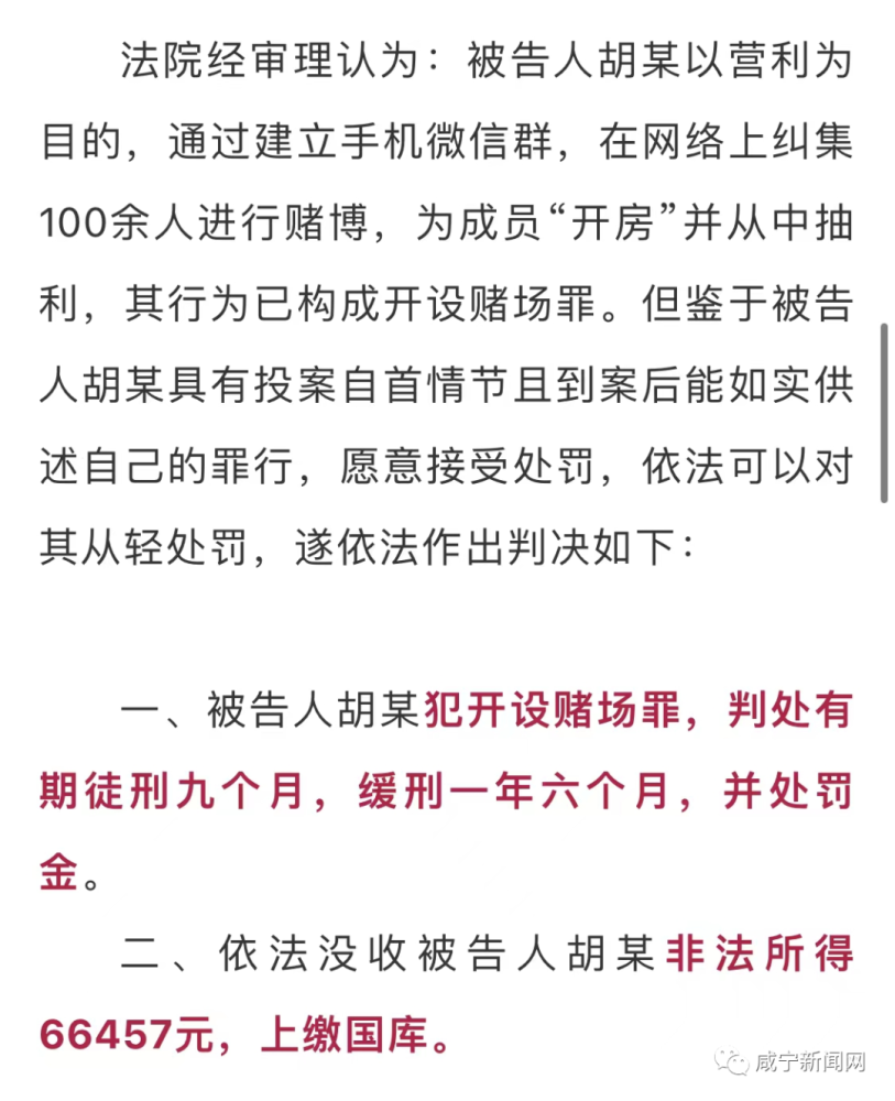 澳门一肖一码一一子,澳门一肖一码一一子，揭示违法犯罪的危害与应对之道