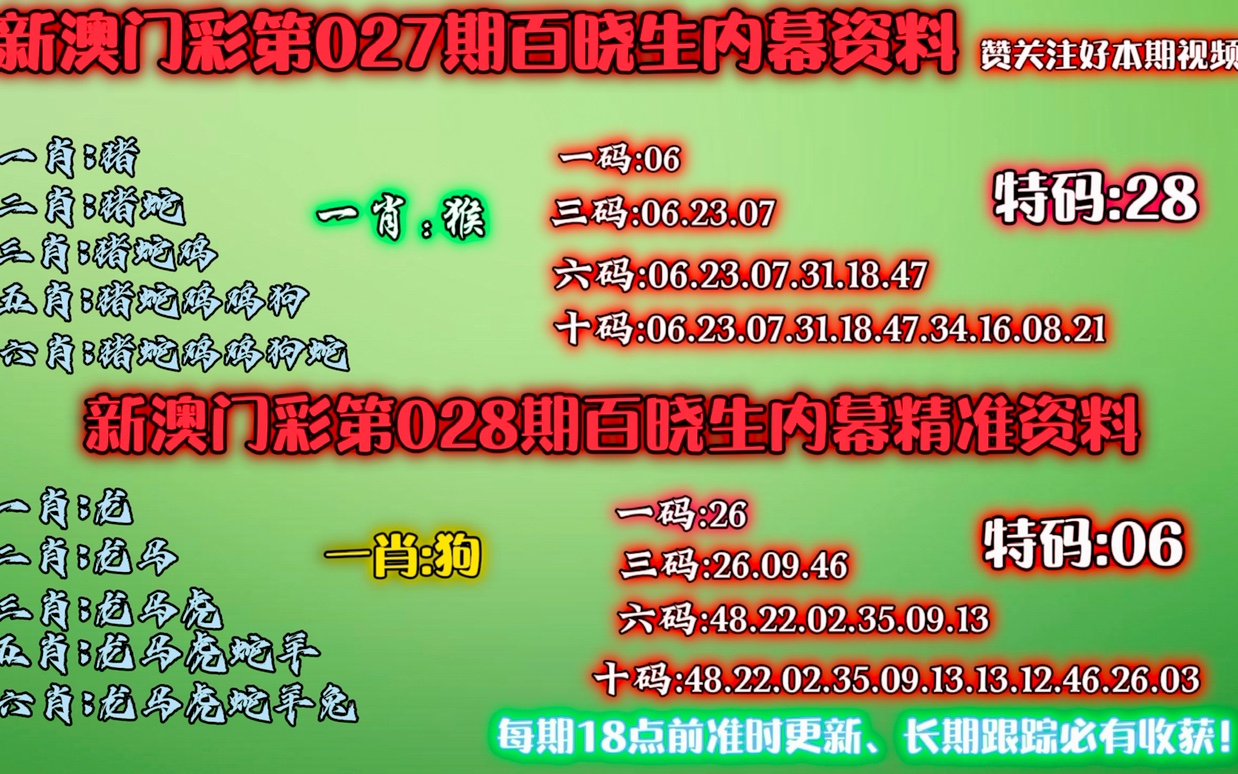 新澳门今晚精准一肖,新澳门今晚精准一肖——探索生肖运势与预测的魅力