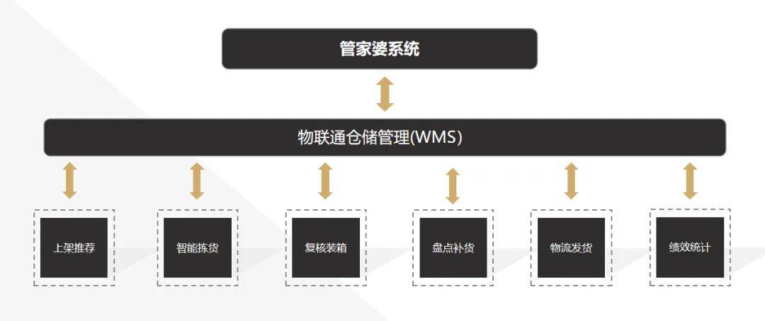 2025年2月9日 第2页