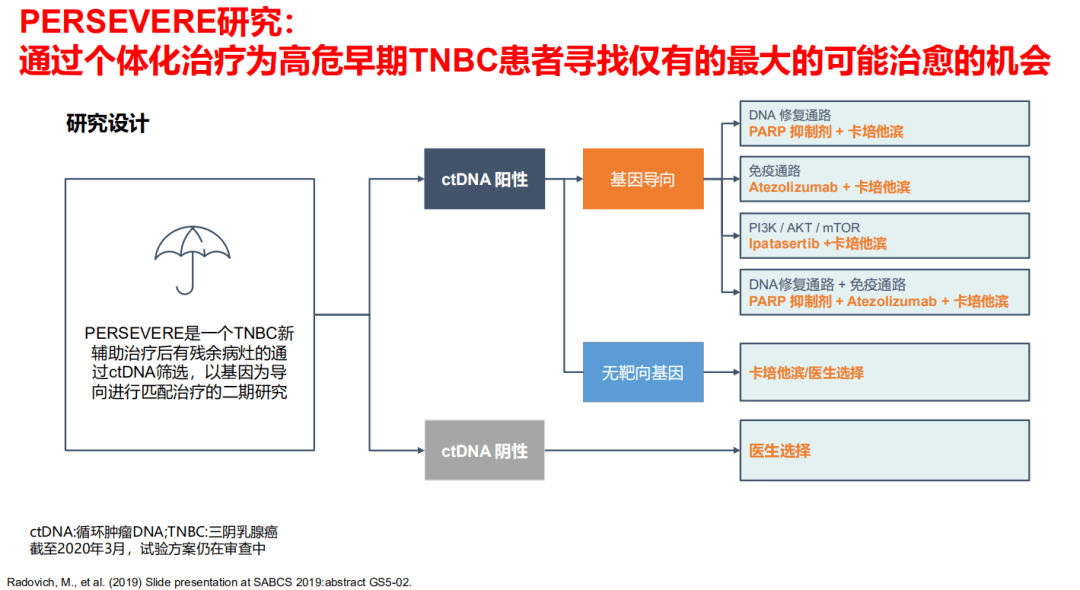 2025新澳精准资料免费提供,探索未来之路，关于新澳精准资料的免费提供与深度解析（至2025年）